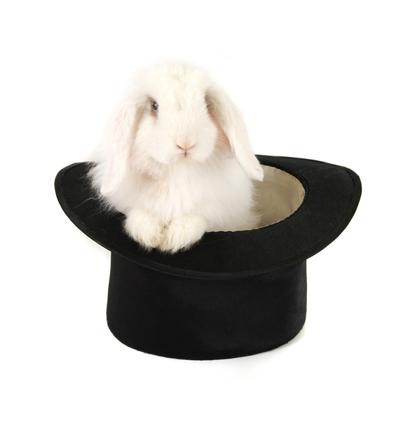 Kaninchen und schwarzer Hut - Foto, Bild