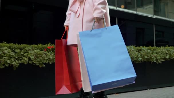 Η νεαρή ελκυστική γυναίκα ψωνίζει. Η κυρία με τις χάρτινες σακούλες στα χέρια της στέκεται στο δρόμο με φόντο το πράσινο παρτιτινοκρεβάτι της πρόσοψης του Mall. Χριστουγεννιάτικες διακοπές, πώληση, λιανική βιομηχανία ιδέα 4K - Πλάνα, βίντεο