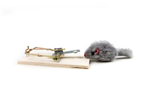 Ratón de juguete gris merodeando alrededor de una trampa de ratón de madera
 - Foto, imagen