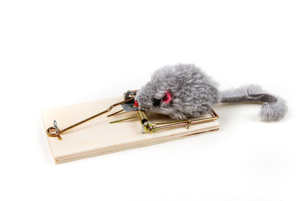 Topo giocattolo grigio che si aggira intorno a una trappola per topi di legno
 - Foto, immagini