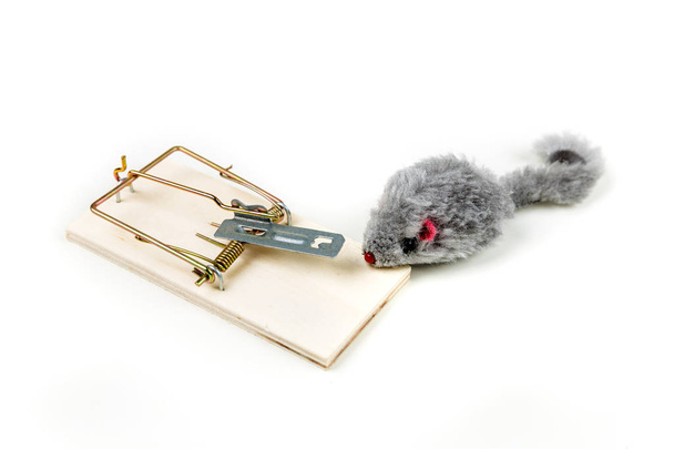 Ratón de juguete gris merodeando alrededor de una trampa de ratón de madera
 - Foto, Imagen