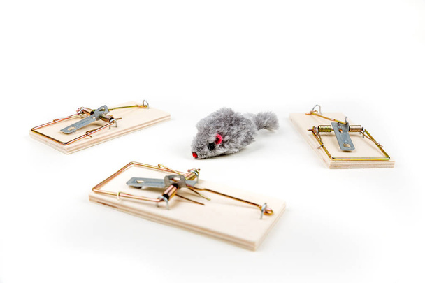 Ratón de juguete gris merodeando por múltiples trampas de ratón de madera
 - Foto, Imagen