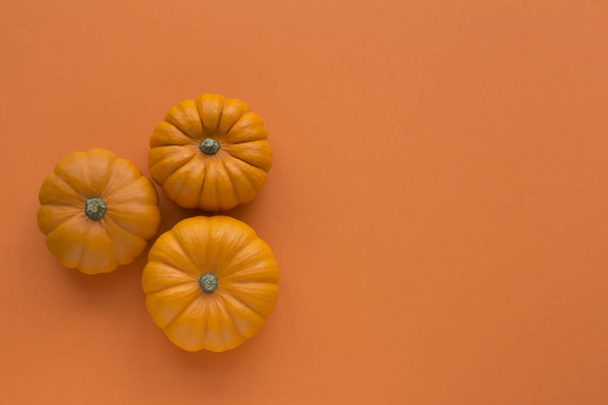 Three pumpkins on a orange background top view - Photo, image