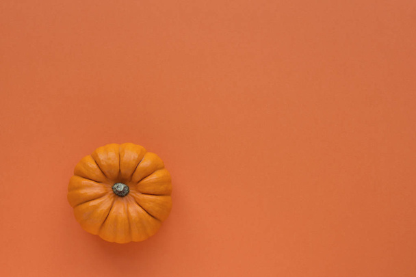 Pumpkin on a orange background top view - Фото, изображение