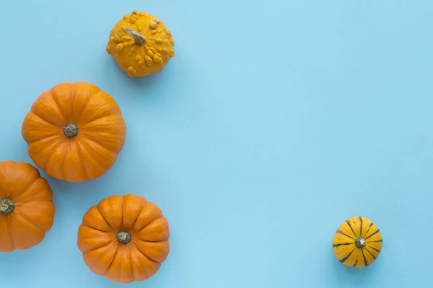 Decorative pumpkins on a blue background top view - Photo, image