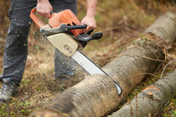 Anonymous lumberjack with chainsaw cutting logs - Photo, image