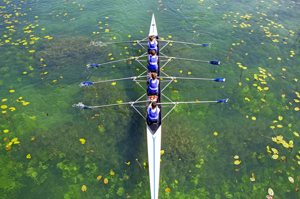 Équipe masculine quadruple aviron sur l'eau verte
 - Photo, image