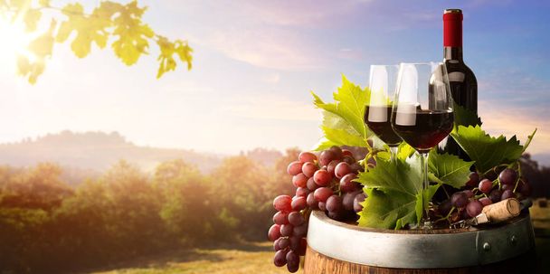 podzimní krajina, vinný původ; réva, láhve z červeného vína, víno - Fotografie, Obrázek