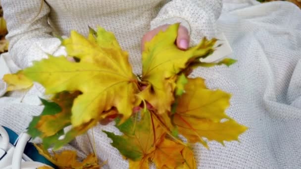 Close-up van meisje handen met herfst bladeren dan gezicht - Video