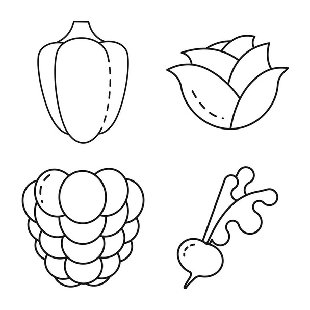 Vector illustration of healthy and ripe sign. Set of healthy and harvest vector icon for stock. - Vettoriali, immagini