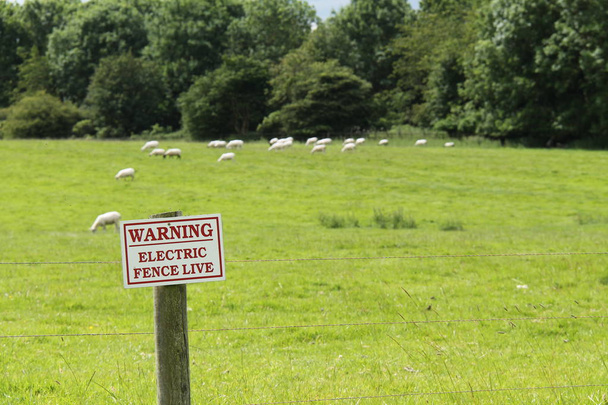 Ένα ηλεκτρικό φράχτη σύνορο σε ένα χωράφι πρόβατα αγρόκτημα. - Φωτογραφία, εικόνα