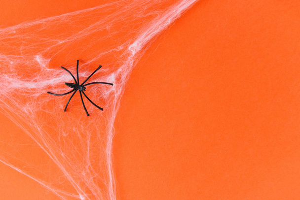 Halloween background with spider web and black spider on orange
  - Фото, изображение