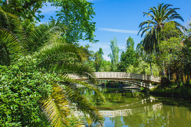 A bridge over a small pond in a portuguese park - Foto, Imagen