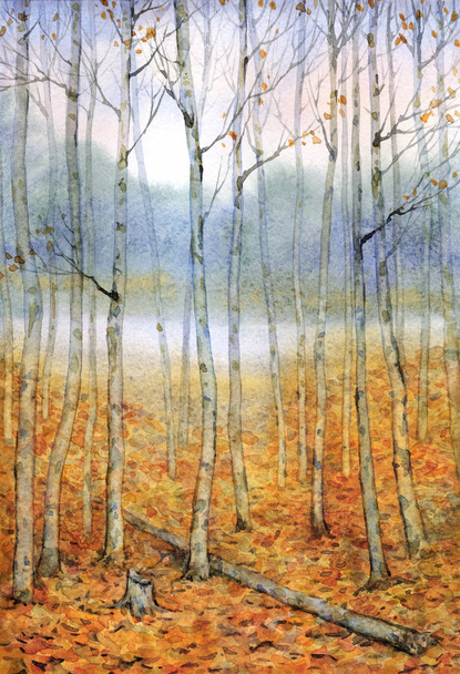 Akvarel krajiny. klidný večer v podzimním lese - Fotografie, Obrázek