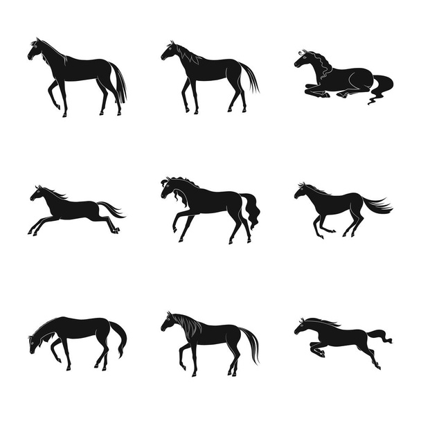 動物相とマーレサインのベクトルデザイン。在庫のための動物相と種馬ベクトルアイコンのセット. - ベクター画像