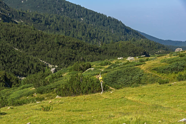 Landscape of Begovitsa River Valley, Pirin Mountain, Bulgaria - Fotografie, Obrázek
