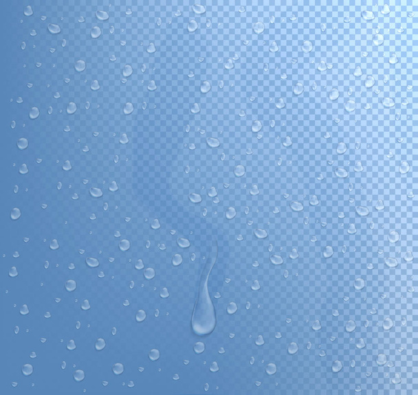 Realistic water drop vectors isolated on transparent background. Vector illustration - Vector, Image