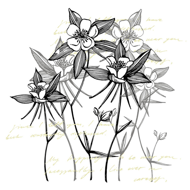 Double Columbine flowers. Collection of hand drawn flowers and plants. Botany. Set. Vintage flowers. Black and white illustration in the style of engravings - Vector, Imagen