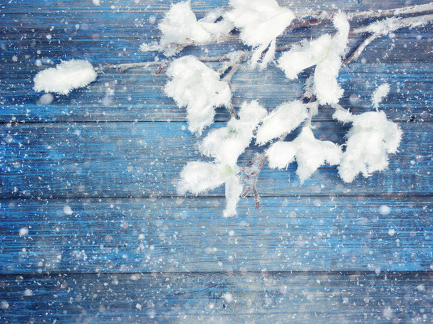 モミの枝コーンと雪と冬の背景 - 写真・画像