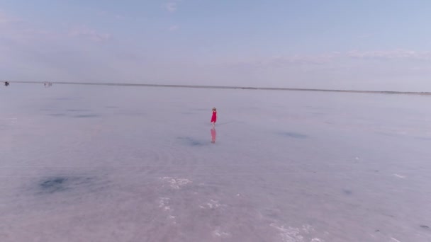 mladá žena v červených létajících šatech prochází růžovým solným jezerem. Letecký pohled - Záběry, video