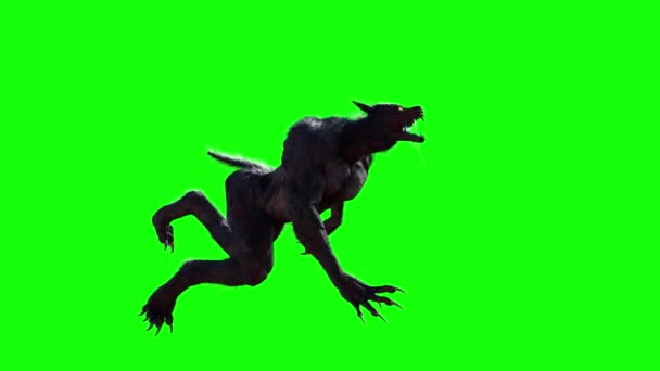 vlkodlak na zeleném pozadí 3d vykreslení - Záběry, video