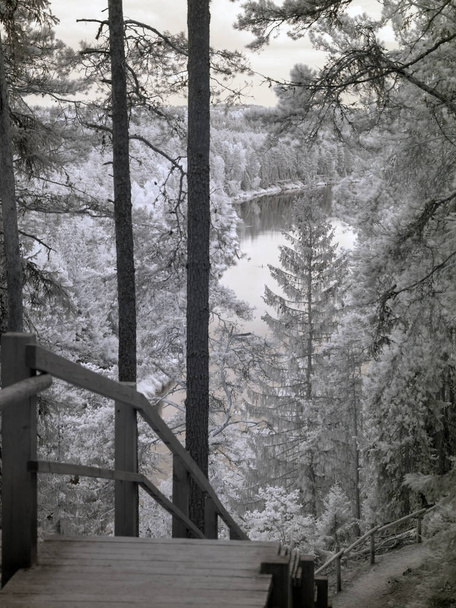 Інфрачервона фотографія річки з видом на річку та скелі пісковика, красиві білі дерева і дерев'яні стежки, Фото взято з спеціально адаптованої інфрачервоної камери, Латвія - Фото, зображення