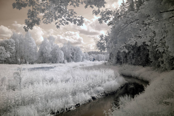 photo infrarouge, arbres blancs, lac naturel étonnant avec réflexion et de beaux nuages, photo infrarouge prise par une caméra spéciale modifiée avec filtre infrarouge, lac Vaidavas, Lettonie
 - Photo, image