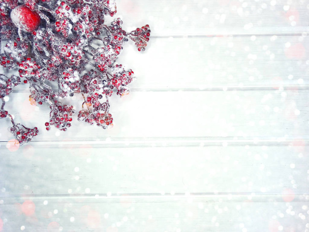 モミの枝コーンと雪と冬の背景 - 写真・画像