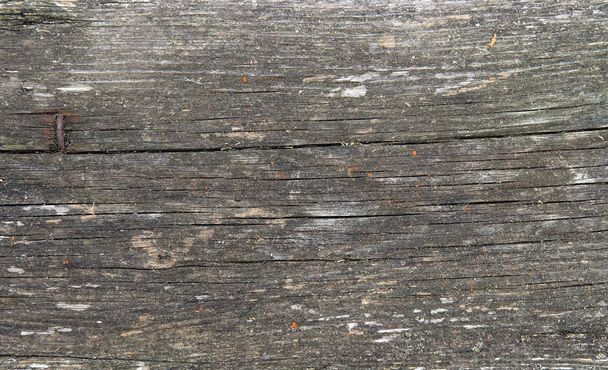 Placa de madeira como fundo ou textura
 - Foto, Imagem