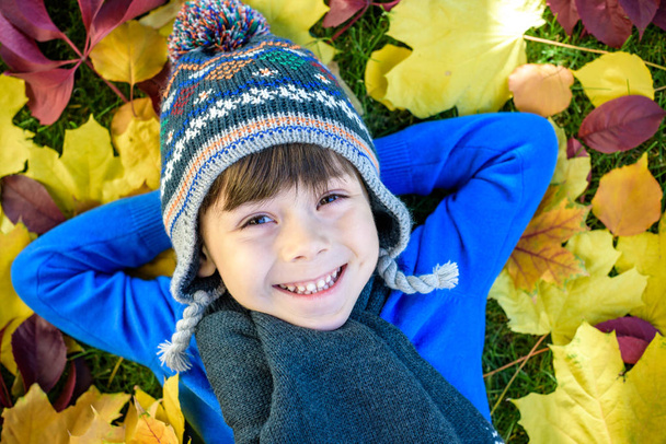 子供の男の子は青い滑車に乗って秋の葉に横たわっている。暖かい日に秋の公園で楽しい時間を過ごしている幸せな子供。かわいい男の子が笑顔で笑って. - 写真・画像