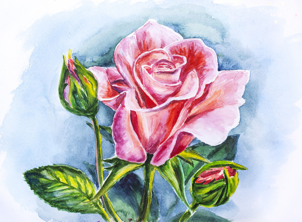 Beautiful rose, watercolor painting - Valokuva, kuva