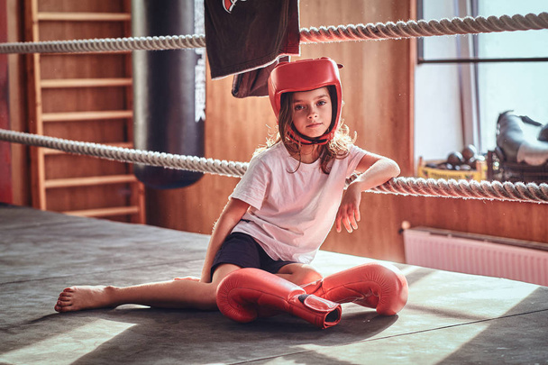 Portrait of young girl in boxer equipment - Фото, изображение