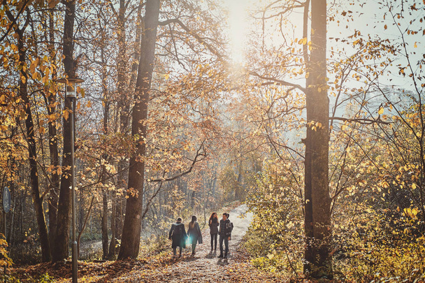 Grupa młodych ludzi spacerują po lesie - Zdjęcie, obraz