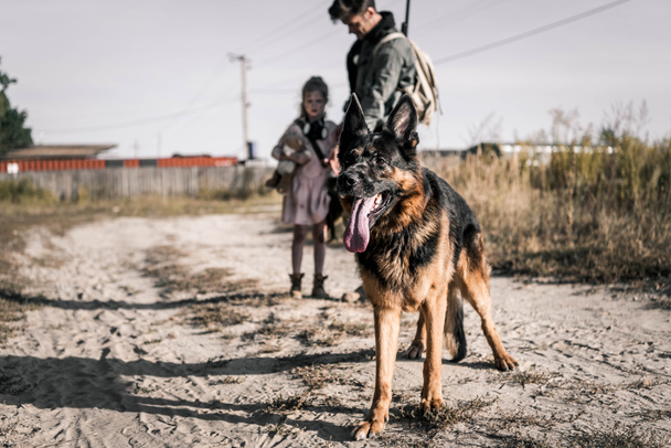 selective focus of german shepherd dog on road near man and kid, post apocalyptic concept - Photo, Image