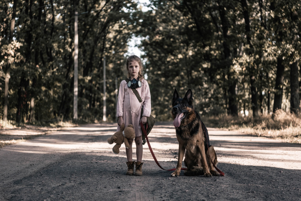 upset kid standing on road with teddy bear and german shepherd dog, post apocalyptic concept - Photo, Image