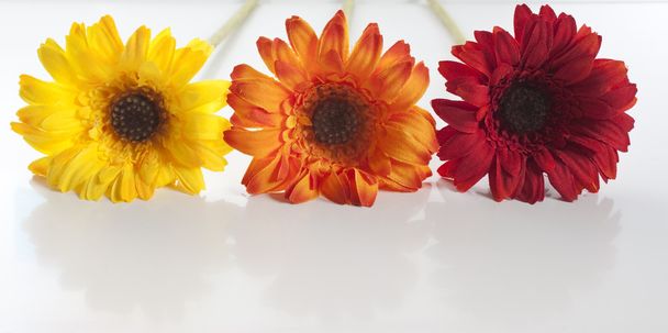 Штучні квіти вишиті
 - Фото, зображення