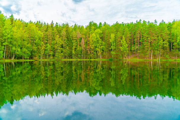 Η λίμνη του διαβόλου, η μυστηριώδη λίμνη στη μέση του δάσους, των δασών και των δέντρων αντανακλώνται στο νερό της λίμνης, την Αγλόνα, τη Λετονία - Φωτογραφία, εικόνα