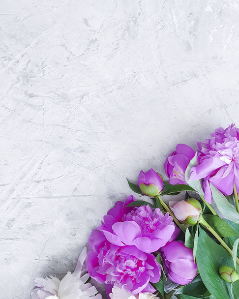 peony bouquet on gray concrete background frame - Photo, Image