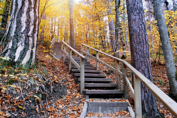 Ydigoller国立公園の美しい秋の景色。木の反射。紅葉。落ち葉。木製の階段2018年11月10日の写真｜Ydigoller - 写真・画像