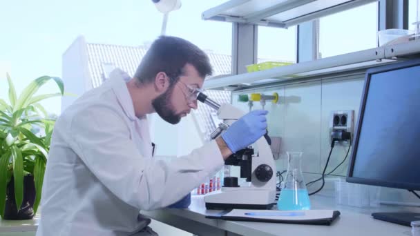 Scientist working in lab. Doctor making microbiology research. Laboratory tools: microscope, test tubes, equipment. Biotechnology, chemistry, bacteriology, virology, dna and health care. - Filmmaterial, Video