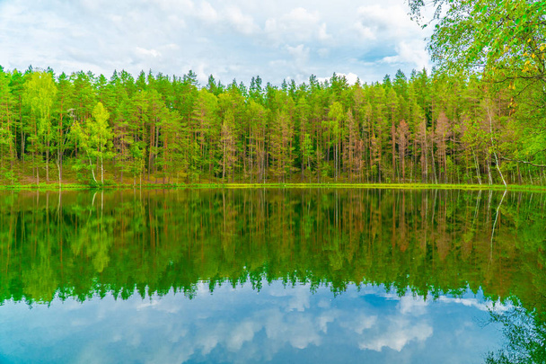 Teufelssee, geheimnisvoller See inmitten von Wald, Wald und Bäumen spiegeln sich im Seewasser, Aglona, Lettland - Foto, Bild
