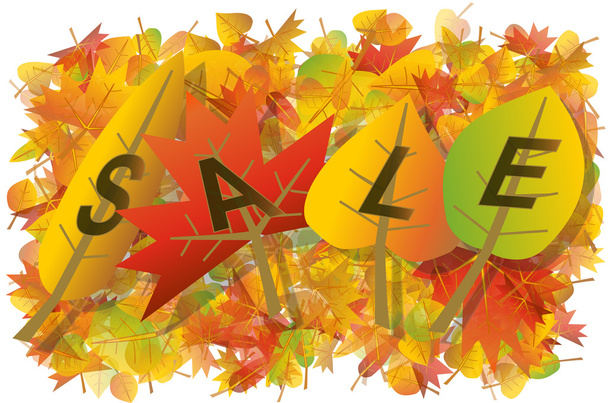 podzimní listí prodej ilustrace - Vektor, obrázek