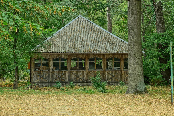 een landelijk bruin houten huis met ramen onder groene vegetatie - Foto, afbeelding