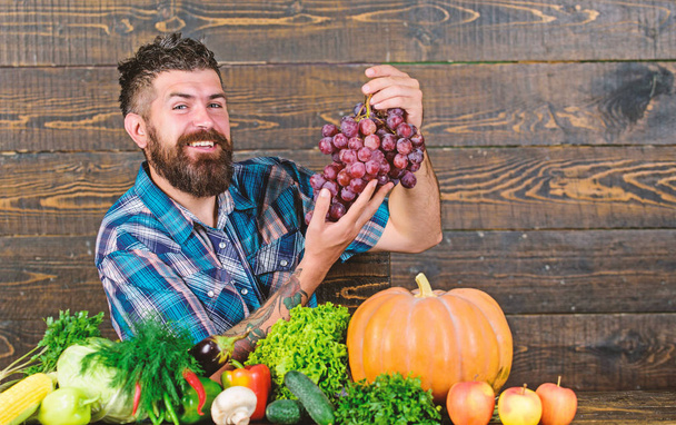 Farming concept. Grapes from own garden. Farmer bearded guy with homegrown harvest on table hold grapes. Farmer proud of grapes harvest. Man hold grapes wooden background. Vegetables organic harvest - Zdjęcie, obraz