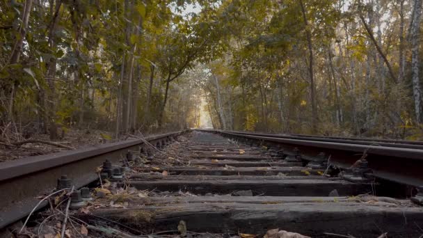 Berlin, Almanya'da Ormanda Terk Edilmiş Demiryolu Rayları - Video, Çekim