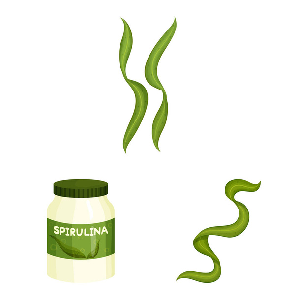 Vector illustration of spirulina and seaweed symbol. Collection of spirulina and vegan stock vector illustration. - Vektor, obrázek
