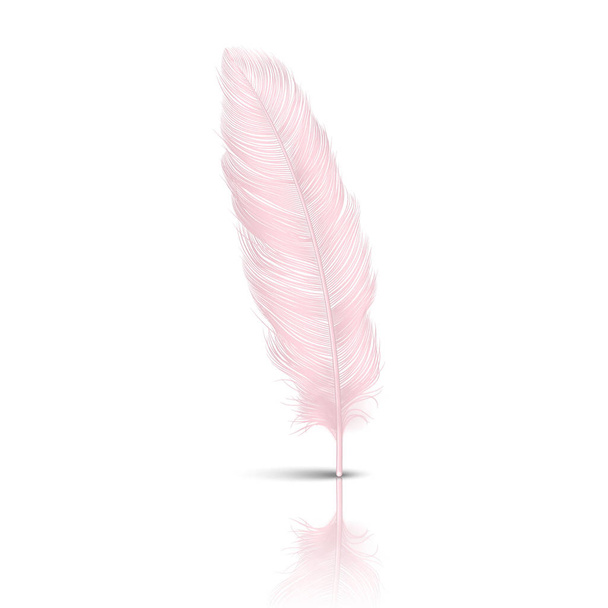 Vector 3d Realistic Falling Pink Flamingo Fluffy Twirled Feather with Reflection Closeup Isolated on White Background. Design Template, Clipart of Angel or Detailed Bird Quill - Vektor, Bild