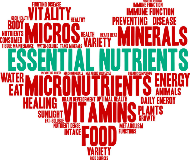Nutrienti essenziali Word Cloud
  - Vettoriali, immagini