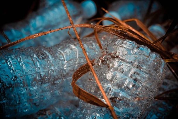 Plastikflaschen im trockenen Gras. Problem in der natürlichen Umwelt. Tag der Erde. - Foto, Bild