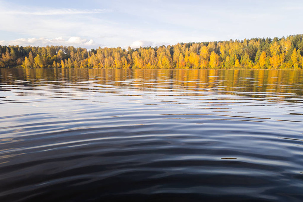 Piękny krajobraz z wody. Powierzchnia wody jeziora, a następnie żółta jesień i jasne słońce. Piękny jesienny krajobraz - Zdjęcie, obraz